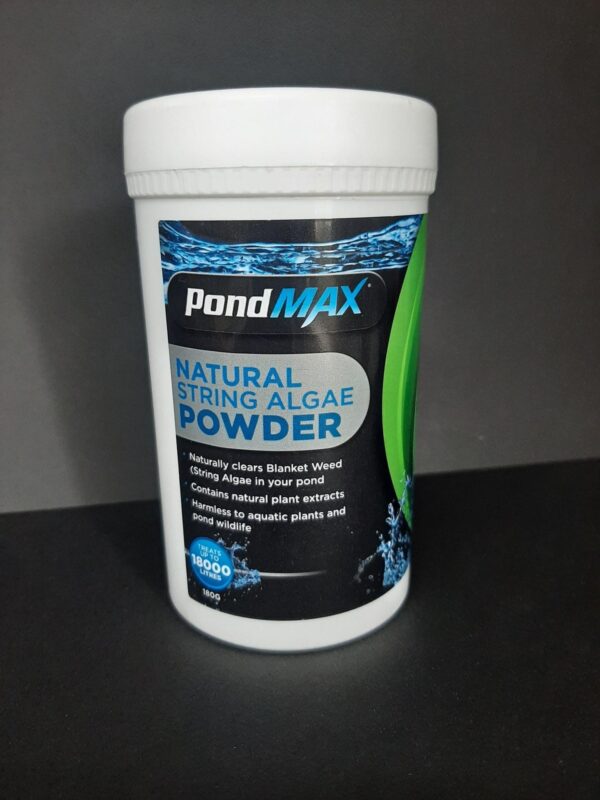 String algae powder 180